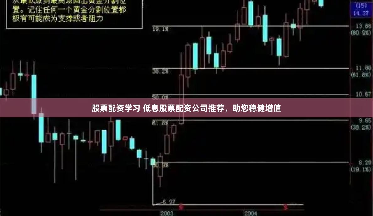 股票配资学习 低息股票配资公司推荐，助您稳健增值