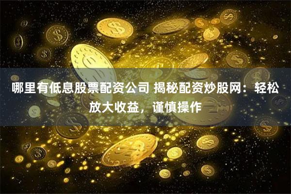 哪里有低息股票配资公司 揭秘配资炒股网：轻松放大收益，谨慎操作