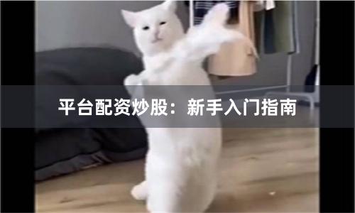 平台配资炒股：新手入门指南